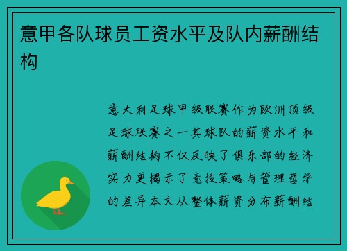 意甲各队球员工资水平及队内薪酬结构